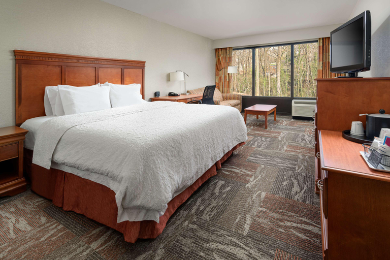 Bedroom 3, Hampton Inn Oak Ridge Knoxville, Anderson