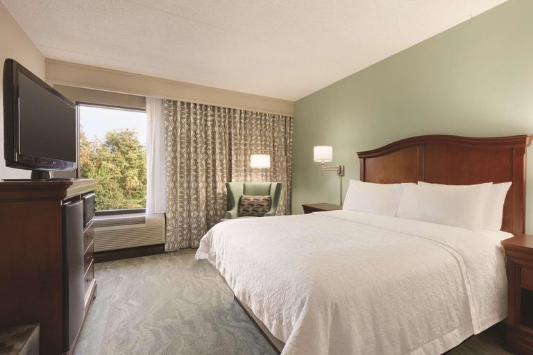 Bedroom 3, Hampton Inn Richmond-North/Ashland, Hanover