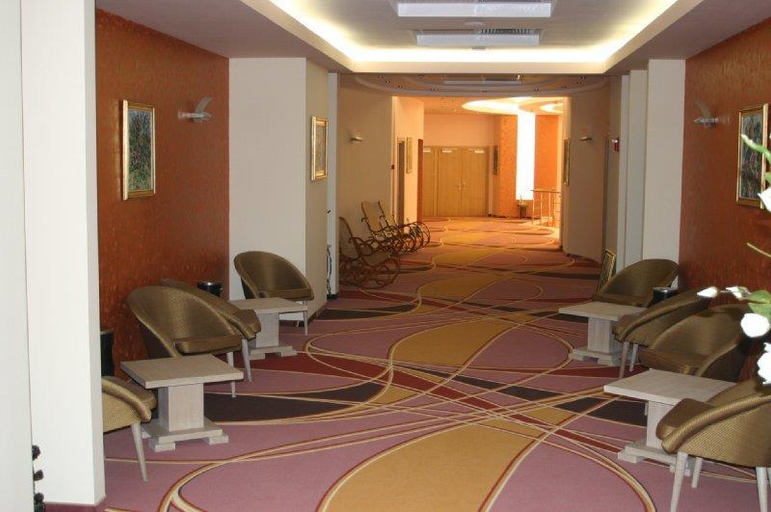 Public Area 3, Mari Vila Hotel Bucharest, BW Premier Collection, Glina