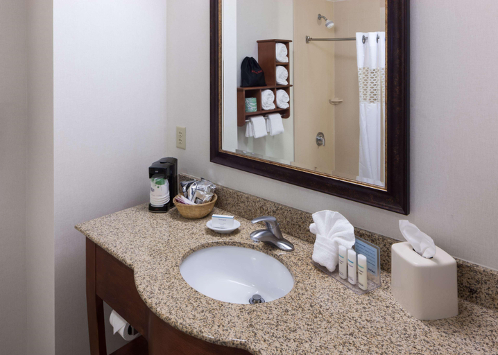 Bathroom 4, Hampton Inn & Suites I-25 South, El Paso