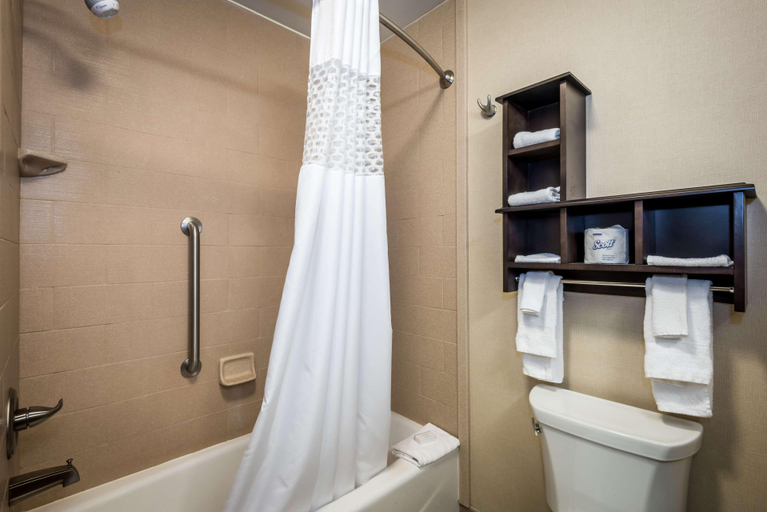 Bathroom 4, Hampton Inn Indianapolis Nw/Zionsville, Boone