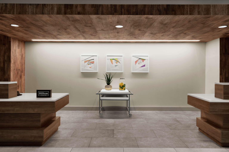 Public Area 2, Hilton Garden Inn Charlotte/Ayrsley, Mecklenburg
