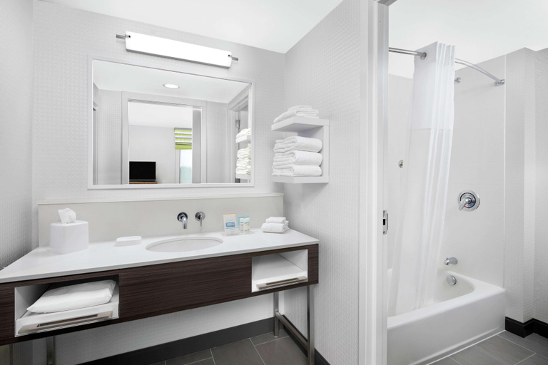 Bathroom 4, Hampton Inn By Hilton Sikeston, New Madrid