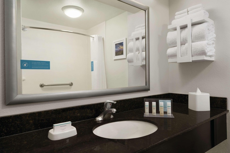 Bathroom 4, Hampton Inn Atlanta Stone Mountain, DeKalb