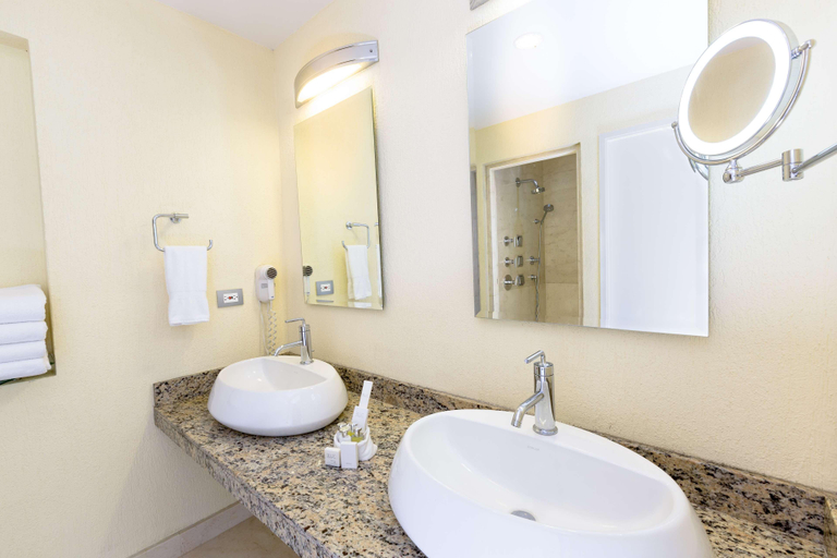 Bathroom 4, Best Western Plus Como Park Hotel, Ramsey