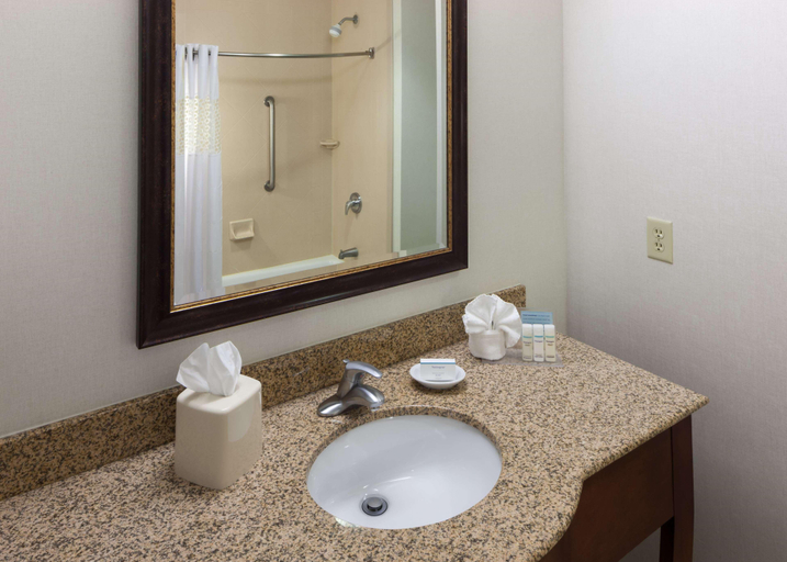 Bathroom 4, Hampton Inn & Suites I-25 South, El Paso
