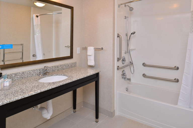 Bathroom 4, Hampton Inn & Suites Orlando/Downtown SouthMedical, Orange