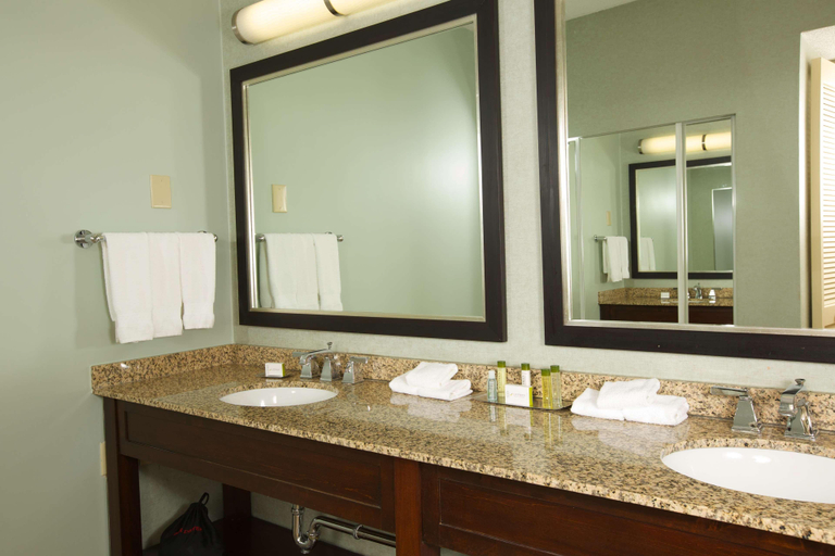 Bathroom 5, DoubleTree Suites by Hilton Raleigh-Durham, Durham
