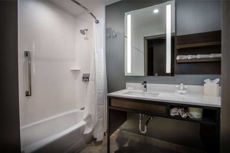 Bathroom 5, Hilton Garden Inn West Palm Beach I95 Outlets, Palm Beach