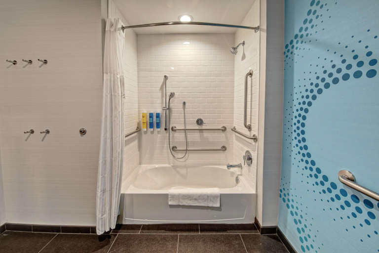 Bathroom 4, Tru by Hilton Roanoke Hollins, Roanoke