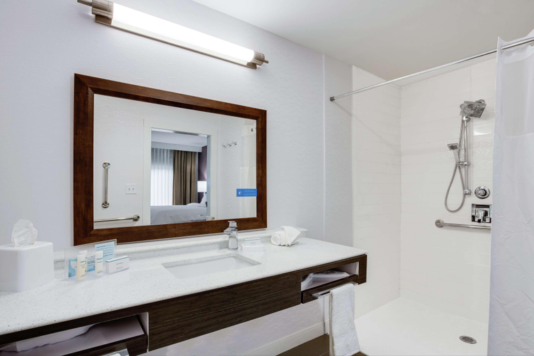 Bathroom 4, Hampton Inn & Suites Jacksonville/Orange Park, Clay