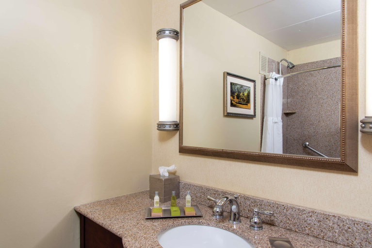 Bathroom 5, Doubletree By Hilton Hotel Grand Rapids Airport, Kent