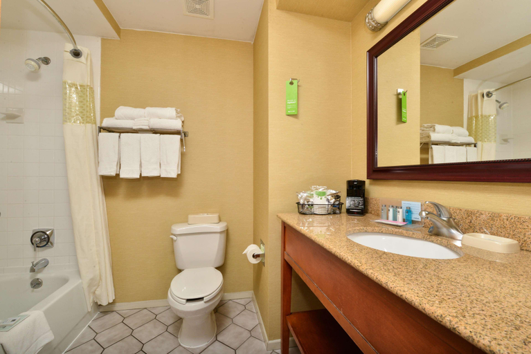 Bathroom 4, Hampton Inn Collinsville, Madison