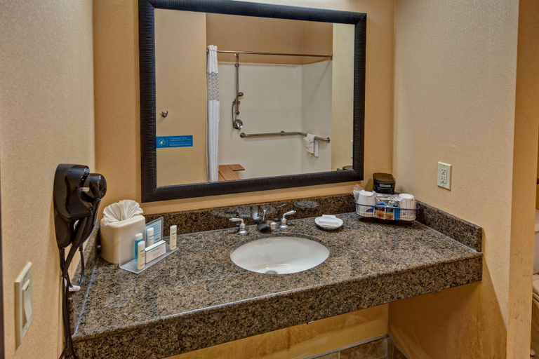 Bathroom 5, Hampton Inn Corsicana, Navarro