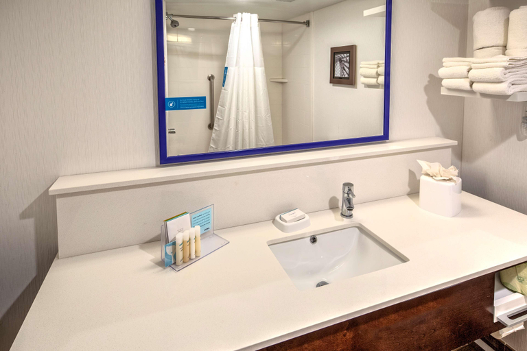 Bathroom 4, Hampton Inn Dumfries, Prince William