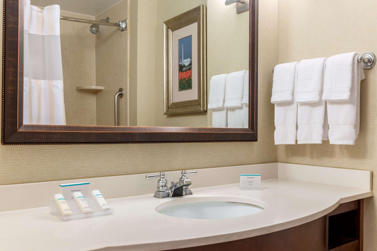 Bathroom 5, Hilton Garden Inn Arlington/Courthouse Plaza, Arlington