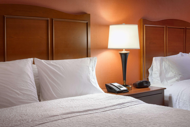 Bedroom 3, Hampton Inn Omaha/West Dodge Road (Old Mill), Douglas