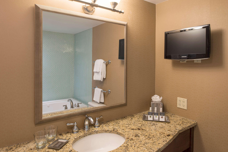 Bathroom 5, Doubletree By Hilton Hotel Grand Rapids Airport, Kent