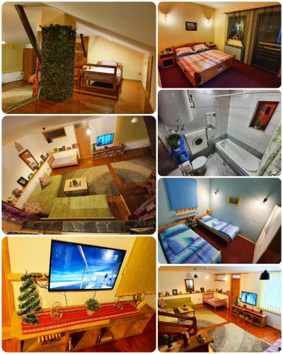 Vila - apartmani Golijanin, Istočno Sarajevo