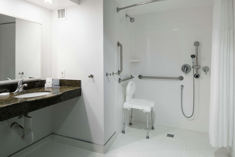 Bathroom 4, Hampton Inn & Suites Memphis-Beale Street, Shelby