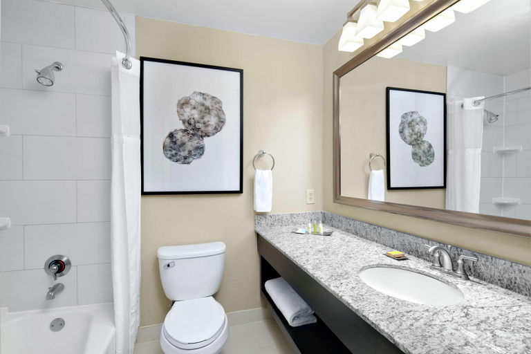 Bathroom 5, DoubleTree Suites by Hilton Charlotte - SouthPark, Mecklenburg