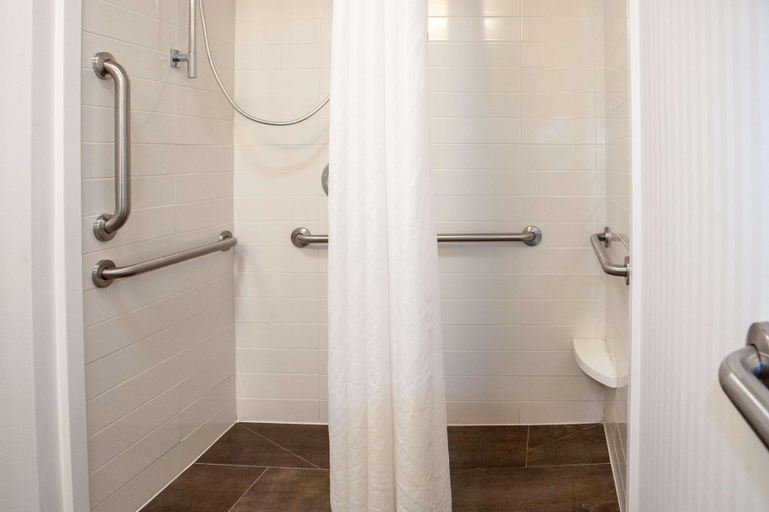 Bathroom 4, Hampton Inn & Suites Jackson Downtown-Coliseum, Hinds