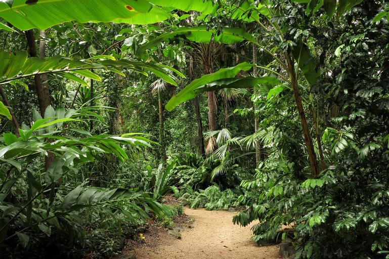 Private Home in Convenient Locations, Cairns