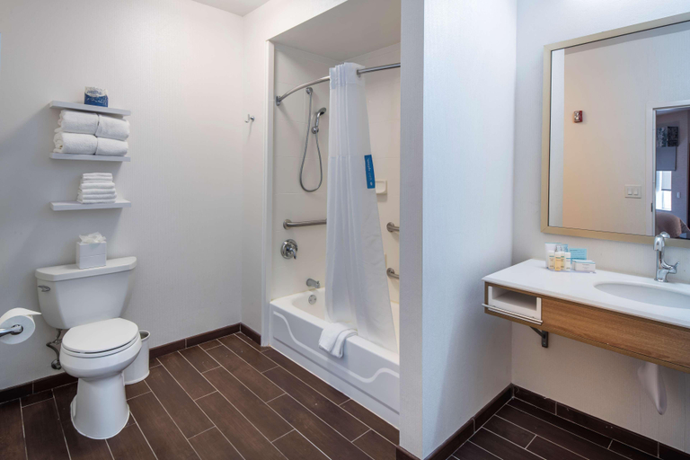 Bathroom 4, Hampton Inn & Suites Chicago/Lincolnshire, Lake