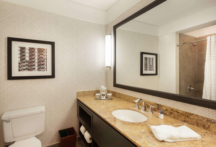 Bathroom 5, DoubleTree Hotel & Suites Houston by the Galleria, Houston
