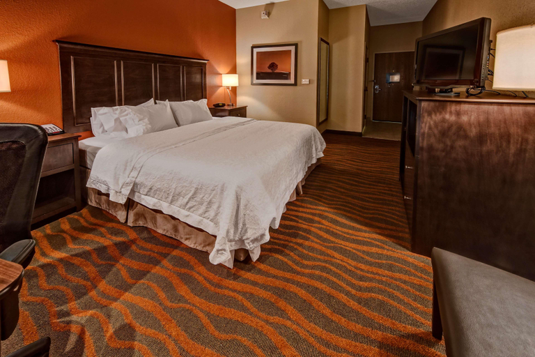 Bedroom 3, Hampton Inn by Hilton Clarksville, Johnson