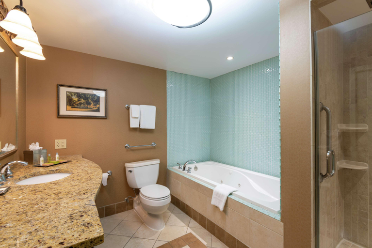 Bathroom 5, Doubletree By Hilton Hotel Grand Rapids Airport, Kent