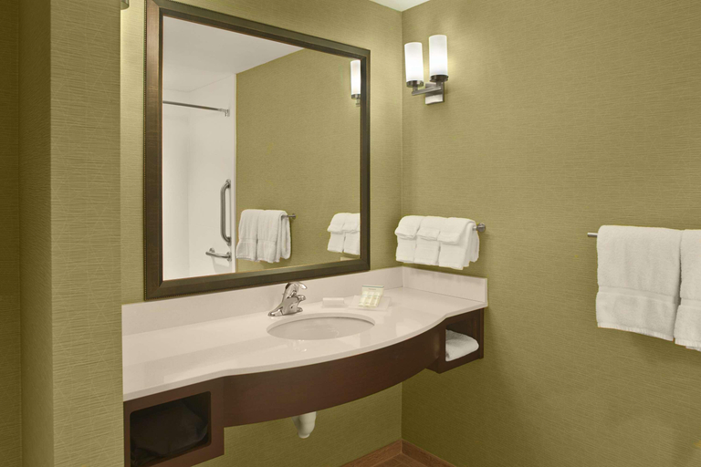 Bathroom 4, Hilton Garden Inn Akron, Summit