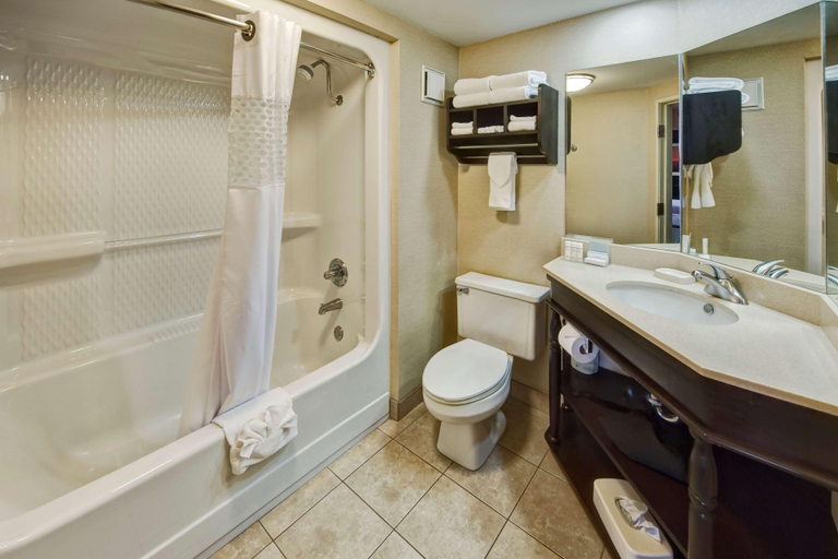 Bathroom 4, Hampton Inn by Hilton Clarksville, Johnson