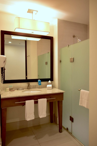 Bathroom 4, Hampton Inn by Hilton Ciudad del Carmen Campeche, Carmen