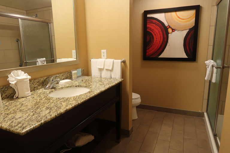 Bathroom 4, Hampton Inn & Suites Salinas, Monterey