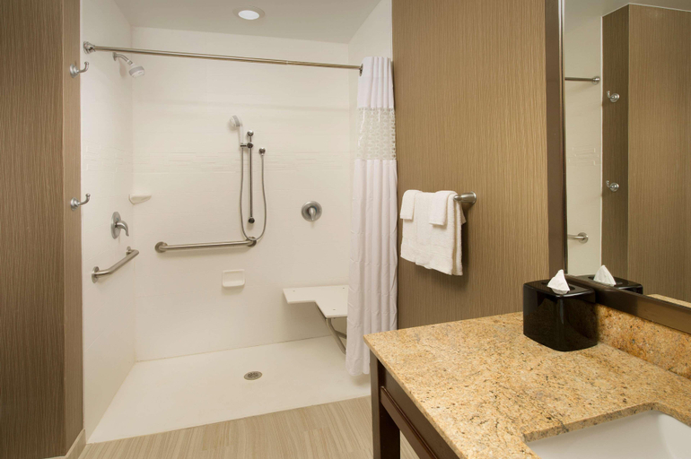 Bathroom 4, Hampton Inn & Suites San Antonio-Downtown/Market S, Bexar