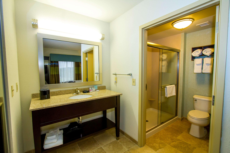 Bathroom 5, Hampton Inn Fayetteville, Lincoln