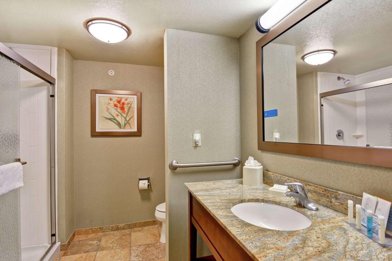 Bathroom 5, Hampton Inn and Suites New Hartford/Utica, Oneida