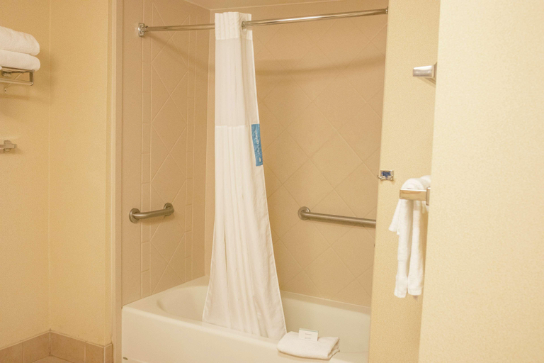 Bathroom 4, Hampton Inn & Suites Lathrop, San Joaquin
