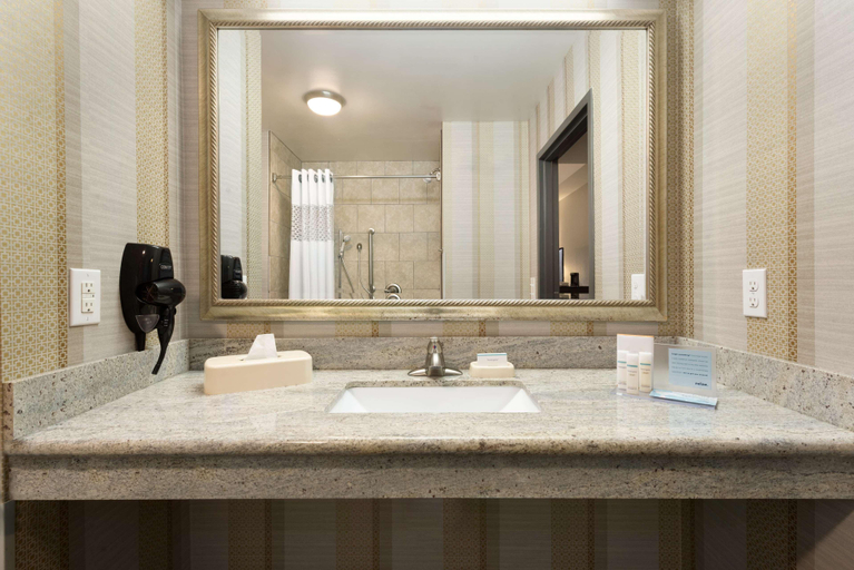 Bathroom 4, Hampton Inn West Monroe, Ouachita