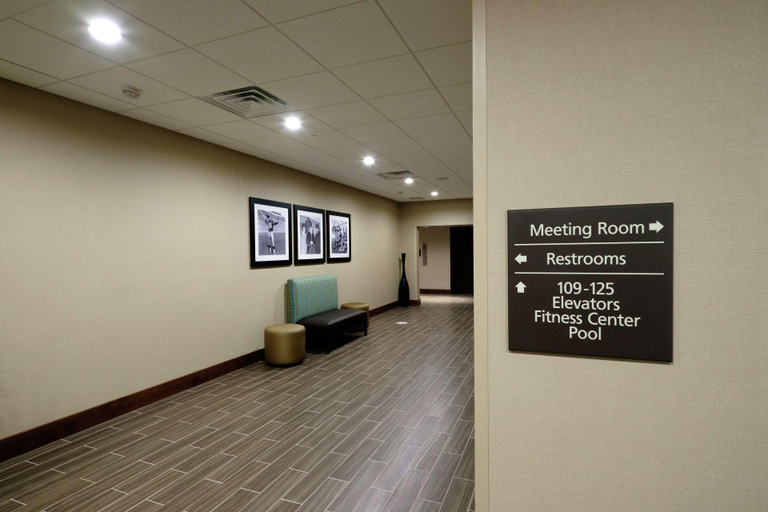 Public Area 2, Hampton Inn Green Bay Downtown, Brown