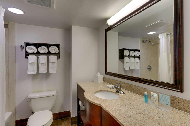 Bathroom 4, Hampton Inn Springfield, Clark