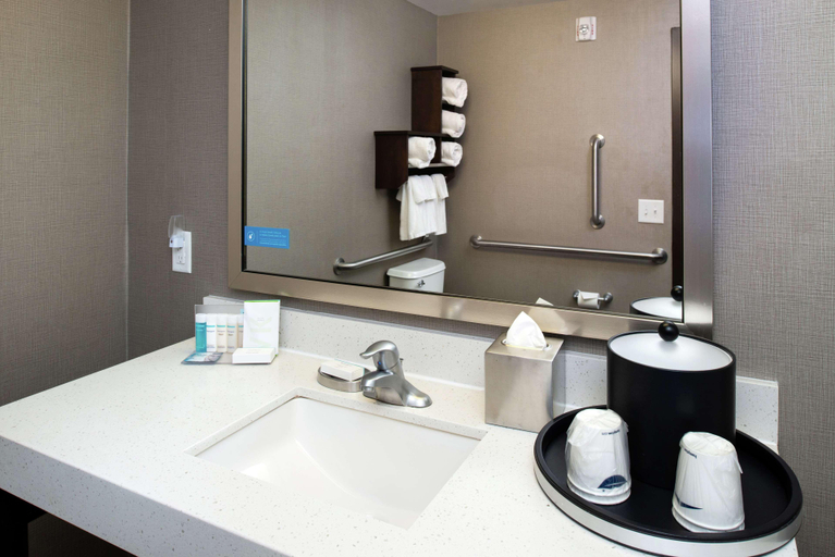 Bathroom 4, Hampton Inn & Suites Greensboro/Coliseum Area, Guilford
