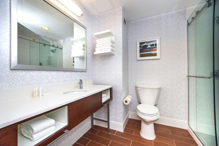 Bathroom 4, Hampton Inn Deadwood at Tin Lizzie Gaming Resort, Lawrence