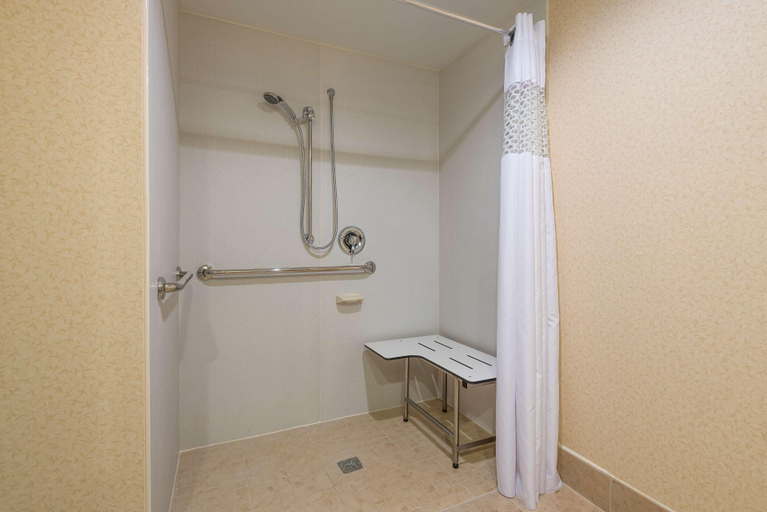 Bathroom 4, Hampton Inn Parkersburg-Mineral Wells, Wood