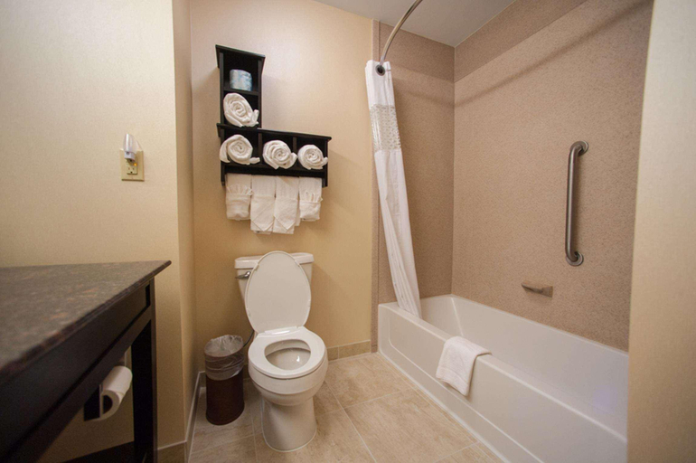 Bathroom 4, Hampton Inn by Hilton Fort Morgan, Morgan