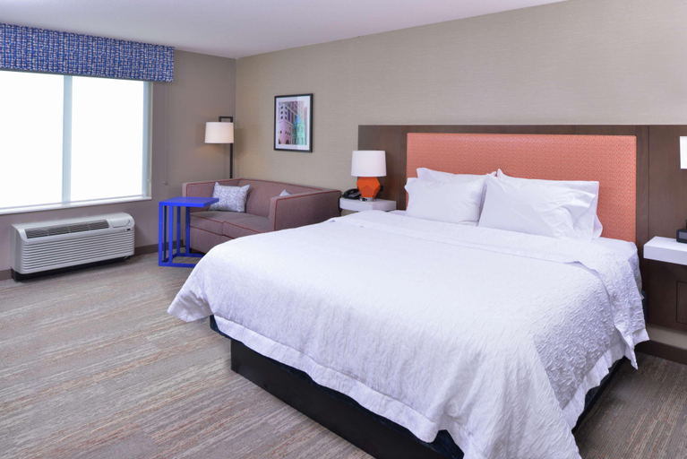 Bedroom 4, Hampton Inn Lakeville Minneapolis, Dakota