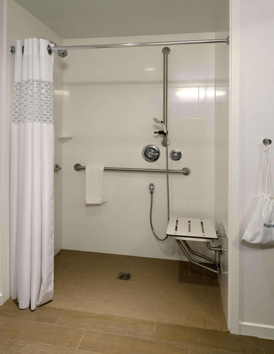 Bathroom 4, Hampton Inn Green Bay Downtown, Brown