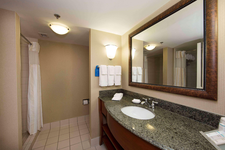 Bathroom 4, Hilton Garden Inn Athens Downtown, Clarke