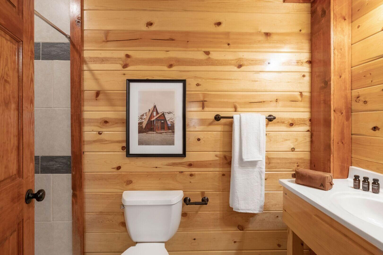 Bathroom 4, Nottingham Heights Way - Sugarland, Sevier